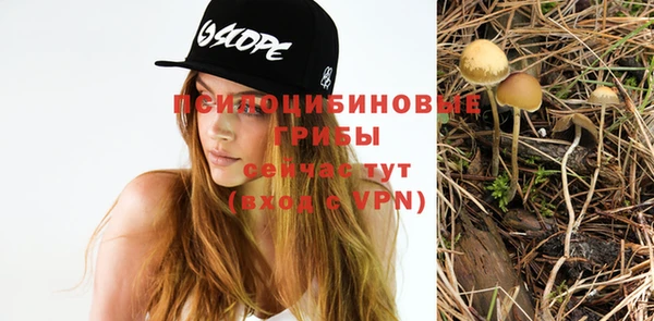сатива Нефтегорск